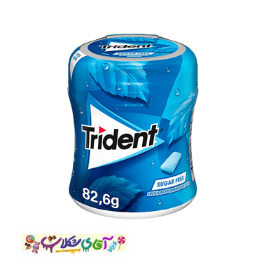 آدامس-تریدنت-قوطی-نعنا-یخی-82-گرم آدامس تریدنت قوطی نعنا یخی 82 گرم آدامس تریدنت قوطی نعنا یخی بدون شکر 82 گرم